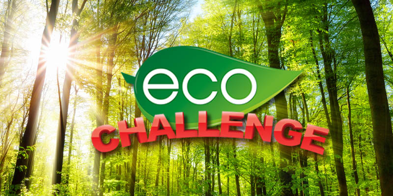 Actividades medioambientales para empleados